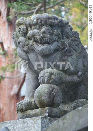 唐獅子の石像(阿形像)(宝登山神社/埼玉県秩父郡長瀞町長瀞) 唐獅子の石像(阿形像)(宝登山神社/埼玉県秩父郡長瀞町長瀞) 139049143