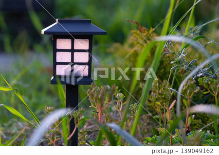 Flowerbed border solar lamp, ornamental and perennial grasses, mulch, modern garden style, sustainable LED illumination, soft evening landscape vibe. Flowerbed border solar lamp, ornamental and perennial grasses, mulch, modern garden style, sustainable LED illumination, soft evening landscape vibe. 139049162