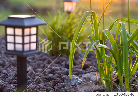 Eco-friendly solar lamp, perennial mix in flowerbed, modern mulch border, ornamental grasses, sustainable outdoor landscape, LED light, nod to Japanese design. Eco-friendly solar lamp, perennial mix in flowerbed, modern mulch border, ornamental grasses, sustainable outdoor landscape, LED light, nod to Japanese design. 139049546