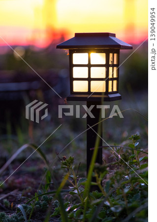 Solar powered lantern for garden bed, modern perennial and decorative grass, LED light for eco-friendly outdoor landscape, cool twilight style. Solar powered lantern for garden bed, modern perennial and decorative grass, LED light for eco-friendly outdoor landscape, cool twilight style. 139049954