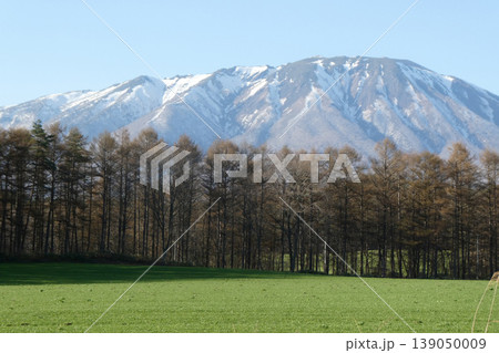 北国岩手県の春まだ浅き小岩井農場から見る岩手山と牧草地と落葉松の並木 北国岩手県の春まだ浅き小岩井農場から見る岩手山と牧草地と落葉松の並木 139050009