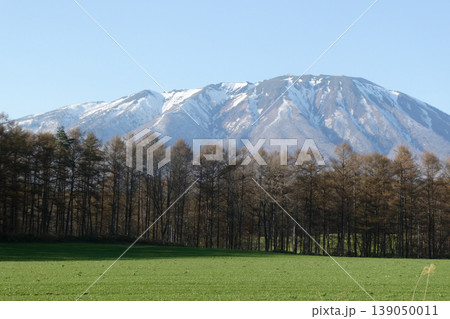北国岩手県の春まだ浅き小岩井農場から見る岩手山と牧草地と落葉松の並木 北国岩手県の春まだ浅き小岩井農場から見る岩手山と牧草地と落葉松の並木 139050011