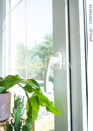 Plastic window ajar, indoor plant in breeze, airing space, modern hardware, fresh air access, habitual ventilation, PVC profile, household microclimate. 139050019