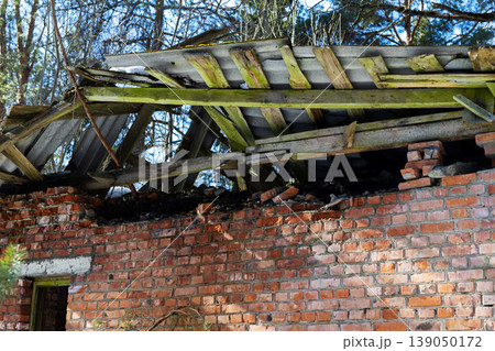 Photograph depicting dilapidated structure overtaken by moss and creeping plants Photograph depicting dilapidated structure overtaken by moss and creeping plants 139050172