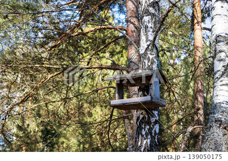 Outdoor haven for feathered friends. Charming bird perch amid lush foliage surroundings Outdoor haven for feathered friends. Charming bird perch amid lush foliage surroundings 139050175