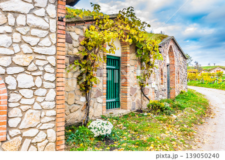 Traditional historical wine cellar at Vrbice village, South Moravia region - Czech Republic. Small wine houses with plants over roof, built in the ground. Dramatic clouds, autumn weather. Traditional historical wine cellar at Vrbice village, South Moravia region - Czech Republic. Small wine houses with plants over roof, built in the ground. Dramatic clouds, autumn weather. 139050240