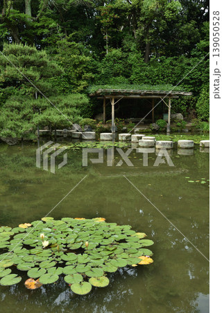 平安神宮中神苑 臥龍橋と蒼龍池(京都市左京区) 平安神宮中神苑 臥龍橋と蒼龍池(京都市左京区) 139050528