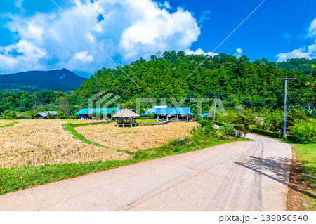 Ripe rice agriculture field in Thailand. Northern region in mountains and jungle. Field of ripe rice is prepared for harvest. Farm building near, tropical rainforest and mountain in far. Agriculture Ripe rice agriculture field in Thailand. Northern region in mountains and jungle. Field of ripe rice is prepared for harvest. Farm building near, tropical rainforest and mountain in far. Agriculture 139050540