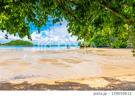 Panoramic view of east Railay beach, Krabi town, Thailand. View from the shadow of tree. Landscape with sand beach in foreground and huge limestone rocks in background. Summer day. Panoramic view of east Railay beach, Krabi town, Thailand. View from the shadow of tree. Landscape with sand beach in foreground and huge limestone rocks in background. Summer day. 139050612