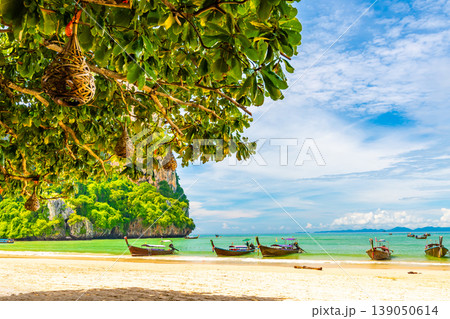 Beautiful and popular beach in Thailand at Krabi town - the Railay beach. View from the shadow of tree in summer day. Long tailed boats in the pure vibrant blue sea. Concept of tropical paradise. 139050614