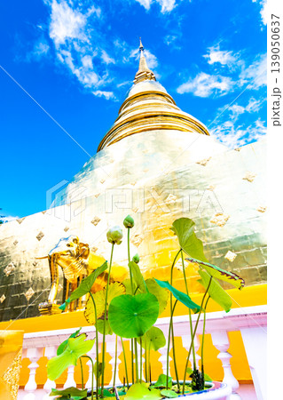 Golden statue of elephant placed on Wat Phra Singh temple in Chiang Mai,Thailand. Beautiful buddhist symbol, famous tourist destination. Ancient sculpture in small parkland. Religion and spirituality 139050637