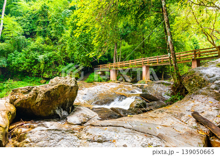 Tourist path in the jungle near Mae Sa river and waterfall, Thailand. Road in the tropical rainforest near the Chiang Mai city. Fresh green tree, grass and tropic plant. Beautiful pure nature. Tourist path in the jungle near Mae Sa river and waterfall, Thailand. Road in the tropical rainforest near the Chiang Mai city. Fresh green tree, grass and tropic plant. Beautiful pure nature. 139050665