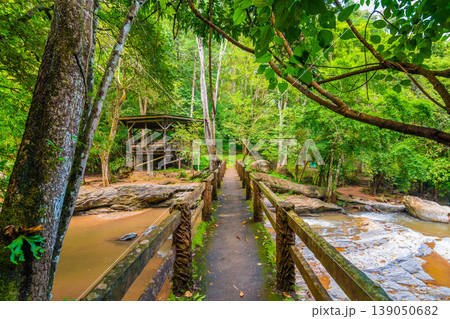 Wooden bridge above the Mae Sa river, near the waterfall, Thailand. Old bridge placed in tropical rainforest. Fresh green trees, plants and vibrant pure nature.Romantic view in nature near Chiang Mai Wooden bridge above the Mae Sa river, near the waterfall, Thailand. Old bridge placed in tropical rainforest. Fresh green trees, plants and vibrant pure nature.Romantic view in nature near Chiang Mai 139050682