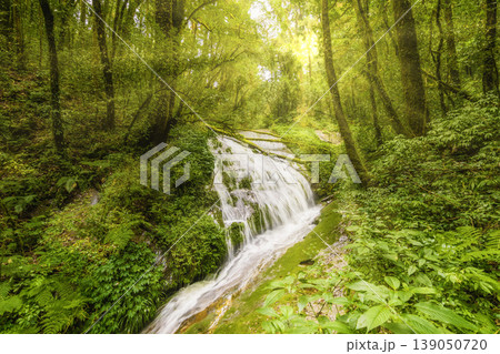 Beautiful waterfall at Doi Inthanon national park, Thailand. Magic light and sun rays through trees in tropical rainforest. Soft light, green colors and tranquil nature. Chiang Mai province Beautiful waterfall at Doi Inthanon national park, Thailand. Magic light and sun rays through trees in tropical rainforest. Soft light, green colors and tranquil nature. Chiang Mai province 139050720