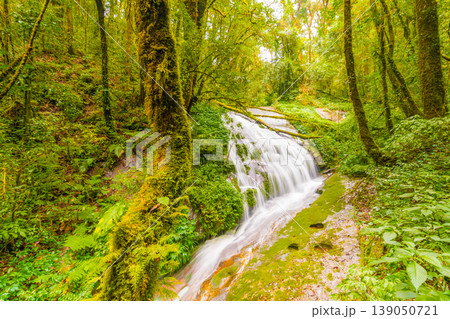 Beautiful waterfall at Doi Inthanon national park, Thailand. Vibrant and fresh nature, flowing water in tropical rainforest. Chiang Mai province Beautiful waterfall at Doi Inthanon national park, Thailand. Vibrant and fresh nature, flowing water in tropical rainforest. Chiang Mai province 139050721
