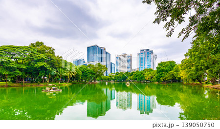 Bangkok cityscape view from Lumpini park in city center. Panoramic photo of skyscrapers and futuristic buildings from metal and glass. View from the small lake in Lumpini park. Fresh green plants. 139050750