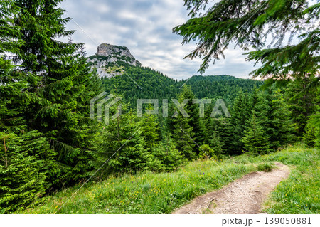 Maly Rozsutec mountain in the Mala Fatra Slovakia national park. Tourist destination for outdoor activities, hiking, trekking. Summer day. Meadow and forest near big rock Maly Rozsutec mountain in the Mala Fatra Slovakia national park. Tourist destination for outdoor activities, hiking, trekking. Summer day. Meadow and forest near big rock 139050881