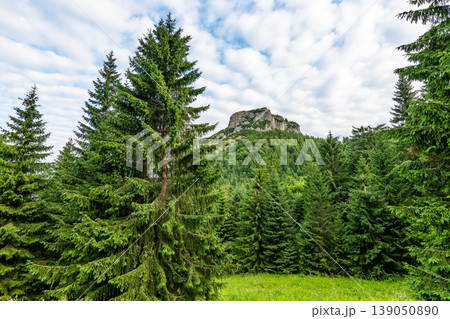 Maly Rozsutec mountain in the Mala Fatra Slovakia national park. Tourist destination for outdoor activities, hiking, trekking. Summer day. Meadow and forest near big rock 139050890