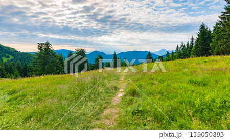Tourist path in the forest, Mala Fatra national park, Slovakia. Green fresh trees, blue sky. Trail to Maly Rozsutec mountain Tourist path in the forest, Mala Fatra national park, Slovakia. Green fresh trees, blue sky. Trail to Maly Rozsutec mountain 139050893