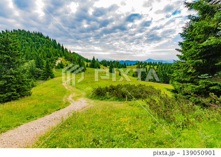 View of Mala Fatra, Slovakia national park. Tourist path near the Maly and Velky rozsutec mountains. Beautiful forest, trees and grass. Vibrant color in fresh nature 139050901