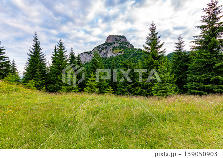 Maly Rozsutec mountain in the Mala Fatra Slovakia national park. Tourist destination for outdoor activities, hiking, trekking. Summer day. Meadow and forest near big rock 139050903