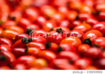 Detail macro view of dog rose hips (latin name Fructus cynosbati) prepared for drying. Dried rose hips are important source of vitamins in alternative medicine. Typical fall berry fruit Detail macro view of dog rose hips (latin name Fructus cynosbati) prepared for drying. Dried rose hips are important source of vitamins in alternative medicine. Typical fall berry fruit 139050908