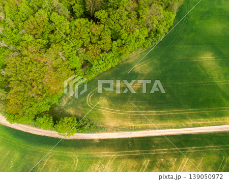 Aerial view of agriculture fields, meadow and road inside. Rural scene of countryside. Fresh green colors, look to above tree. Day on spring after rain 139050972