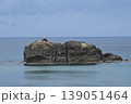 白兎神社と淤岐ノ島 139051464