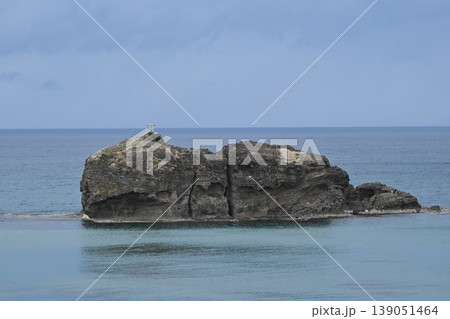 白兎神社と淤岐ノ島 139051464