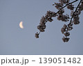 月と桜 139051482