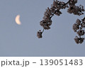 月と桜 139051483