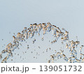 Splashes and jets of water against light background. 139051732