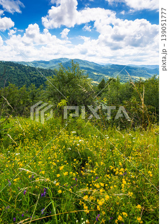 herb field in the mountain landscape in summer. wonderful view of carpathian mountains under cloudy sky. picturesque countryside landscape with forested hills. view in to the valley herb field in the mountain landscape in summer. wonderful view of carpathian mountains under cloudy sky. picturesque countryside landscape with forested hills. view in to the valley 139051777