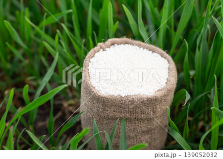Fertilizer for plants in white granules in a small bag on green grass. Close up of mineral fertilizer used in agriculture for health and better growth of plants Fertilizer for plants in white granules in a small bag on green grass. Close up of mineral fertilizer used in agriculture for health and better growth of plants 139052032