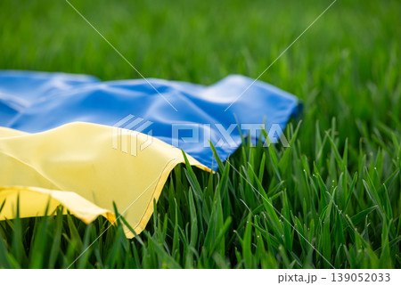 Fresh green grass in the field, flag of Ukraine laying on it, close up. Concepts of farming and agriculture, rich black soils in Ukraine, spring time in the farmer`s field Fresh green grass in the field, flag of Ukraine laying on it, close up. Concepts of farming and agriculture, rich black soils in Ukraine, spring time in the farmer`s field 139052033