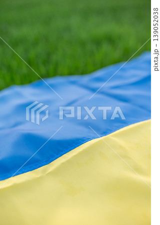 Vertical shot of ukrainian flag, laying on green grass, close up. Blue and yellow flag as national symbol of Ukraine and grass as symbols of rich fields of this country Vertical shot of ukrainian flag, laying on green grass, close up. Blue and yellow flag as national symbol of Ukraine and grass as symbols of rich fields of this country 139052038