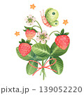 Sweet bouquet of strawberries tied with a bow. Summer arrangement with a funny butterfly and stars. Watercolor illustration hand drawn and isolated on a white background. Perfect for children product 139052220