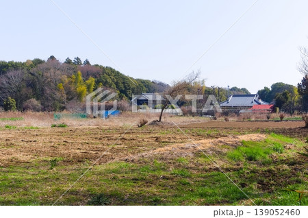 千葉県柏市手賀の丘公園周辺2026年3月 千葉県柏市手賀の丘公園周辺2026年3月 139052460