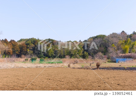 千葉県柏市手賀の丘公園周辺2026年3月 千葉県柏市手賀の丘公園周辺2026年3月 139052461