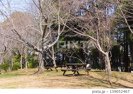 千葉県柏市手賀の丘公園周辺2026年3月 千葉県柏市手賀の丘公園周辺2026年3月 139052467