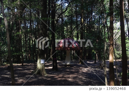 千葉県柏市手賀の丘公園周辺2026年3月 千葉県柏市手賀の丘公園周辺2026年3月 139052468