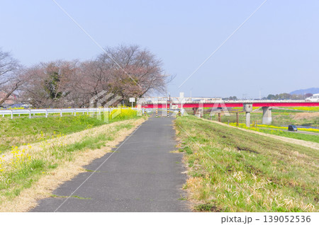 渡良瀬遊水地周辺2026年3月 139052536