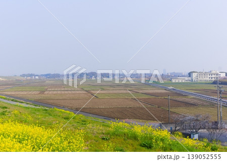 茨城県古河市渡良瀬川サイクリングロード沿線2026年3月 139052555