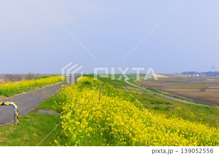 茨城県古河市渡良瀬川サイクリングロード沿線2026年3月 茨城県古河市渡良瀬川サイクリングロード沿線2026年3月 139052556