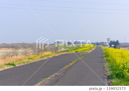 茨城県古河市渡良瀬川サイクリングロード沿線2026年3月 茨城県古河市渡良瀬川サイクリングロード沿線2026年3月 139052573