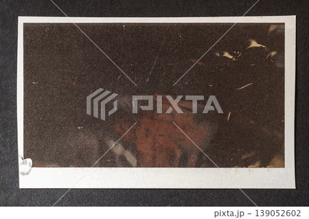 Photo texture with frame border and surface scratches dust marks, film damage, aged photo for design. Natural background for print layout, mockup, poster design, retro style visual content creation Photo texture with frame border and surface scratches dust marks, film damage, aged photo for design. Natural background for print layout, mockup, poster design, retro style visual content creation 139052602
