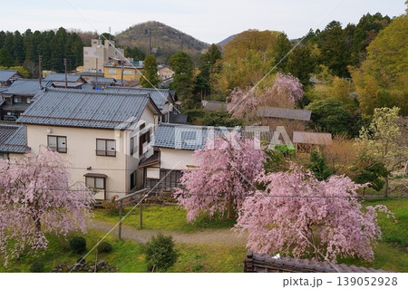 桜の花 139052928
