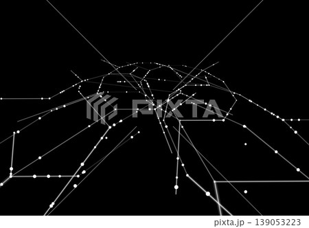白黒の幾何学的ネットワーク 白黒の幾何学的ネットワーク 139053223