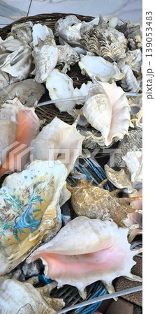 Collection of sea shells at the Egyptian market Collection of sea shells at the Egyptian market 139053483