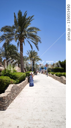 Woman in a summer dress and hat against a background of palm trees and blue sky Woman in a summer dress and hat against a background of palm trees and blue sky 139053490